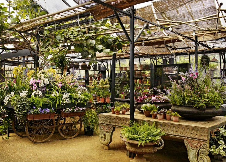 Top 5 Online Nurseries to Order Plants This Spring