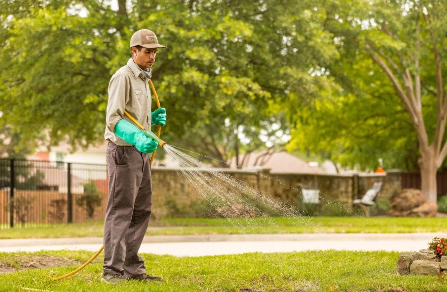 Pest Problems After Lawn Treatments - What Plano Homeowners Miss