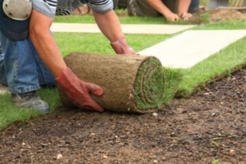 How SOD Installation Helps Create a Greener and Healthier Yard in Sarasota