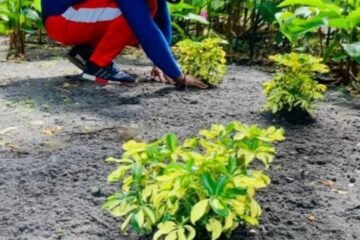 Residential Landscaping Ideas to Transform Your Outdoor Space in Marbella