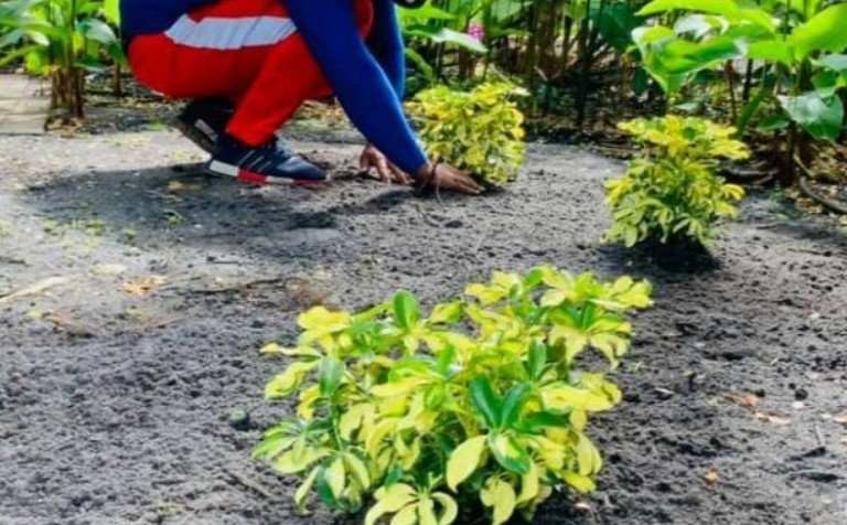 Residential Landscaping Ideas to Transform Your Outdoor Space in Marbella